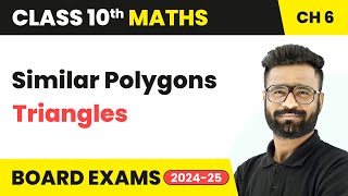 Similar Polygons  Triangles  Class 10 Maths Chapter 6  CBSE 202425 [upl. by Gregoor]