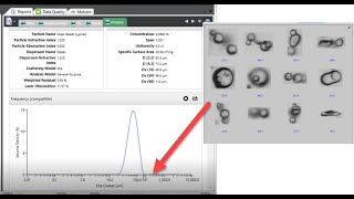 Rare event particle identification Hydro Insight  the perfect Compliment to your Mastersizer 3000 [upl. by Helga850]