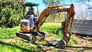 Calves Beef Gardening and Trying Out the New Excavator [upl. by Osrit]