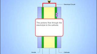 Hydrogen Fuel Cell [upl. by Alyad384]