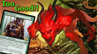 Modern Pelt Collector COMBO Deck w Vexing Devil  NEW from Guilds of Ravnica [upl. by Silbahc]