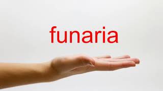 How to Pronounce funaria  American English [upl. by Gniliem709]