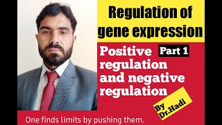 Regulation of gene expression positive and negative regulation Constitutive and inducible gene [upl. by Nivan]