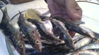 Como espetar las sardinas SPETERAes [upl. by Eak]