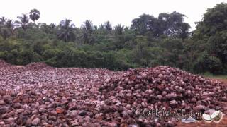 Coir Matcom Presents Coco Mat Production From Coconut Husk to Coir Fiber [upl. by Toille]