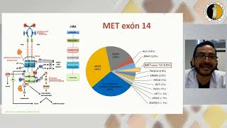 4 Taxonomía molecular en cáncer de pulmón directriz del impacto en Dr Oscar Arrieta González [upl. by Cassell]