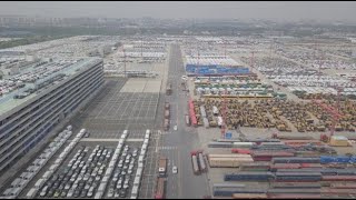 Chinas MG4 electric vehicles exported to Europe from Shanghai pier [upl. by Dorthea859]