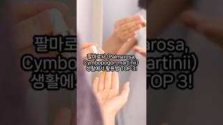 팔마로사 Palmarosa Cymbopogon martinii 생활에서 활용법 TOP 3 [upl. by Ttoile]