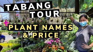 TABANG GARDEN PLANT TOUR 😍 with Plant Names amp Price Range  Guiguinto Bulacan Philippines [upl. by Nathaniel561]