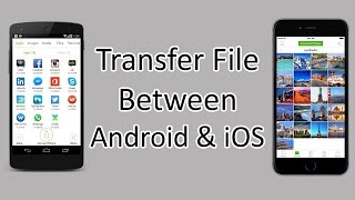 Xender  How to Transfer Files Between Android and iOS [upl. by Rois138]