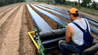 Laying Plastic Mulch for Strawberries 🍓 Part 1 [upl. by Eednil998]