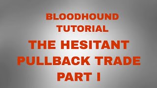 The Hesitant Pullback Bloodhound Tutorial Part I [upl. by Beeson]