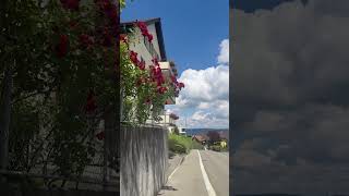 Village life Swiss [upl. by Xyno]