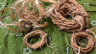 Dogbane Cordage harvest process how to make cordage [upl. by Melony]