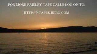 Paisley Tapes  Bawbag Scrapyard [upl. by Aonian]