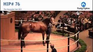 Havre de Grace sells for 10000000 at FasigTipton November Sale [upl. by Lelith4]