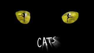 Cats Back on Broadway [upl. by Lorou]