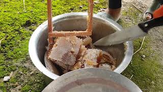 How To Harvest Honey From A Beehive  Harvesting Honey Satisfying  Honey Extraction [upl. by Eichman47]