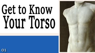 01 Get to Know Your Torso  Learning to Control Your Torso [upl. by Christel965]