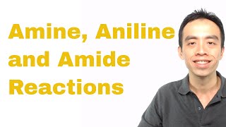 Amine Aniline and Amide Reactions  Organic Chem [upl. by Mathia362]