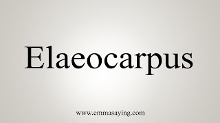 How To Say Elaeocarpus [upl. by Vanhook]