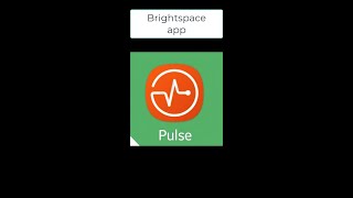 Brightspace PULSE APP Video [upl. by Notfilc]