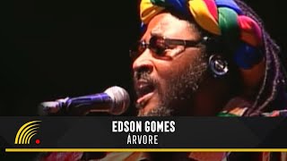 Edson Gomes  Árvore  Ao Vivo Em Salvador [upl. by Batty]