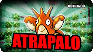 🔥 Como CAPTURAR a Corphish en Pokemon ESMERALDA FÁCIL y RÁPIDO [upl. by Hercules916]