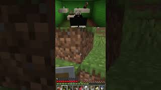 🥺La Prochaine fois je le croirai hihi percer stundzow minecraft fyp shortviral humour [upl. by Adnara661]