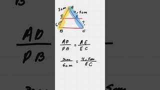 Usando Teorema de Tales para un Segmento  trigonometría matematicas geometría [upl. by Peer]