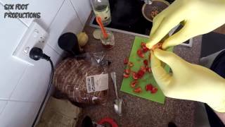 World Hottest Chilli Sauce Recipe using the Infamous Carolina Reaper [upl. by Catlin954]