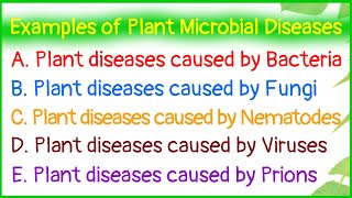 Examples of Plant Microbial DiseasesDiseases caused by BacteriaFungiNematodesVirusesPrions [upl. by Ellord]