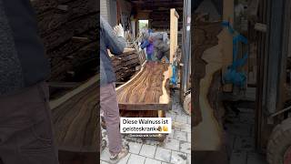 Wie SCHOKOLADE 🍫🪵 deutschland walnut slabs arborist rare handwerk stihl woodworking diy [upl. by Llezo]