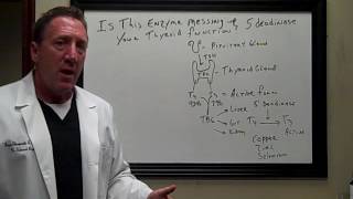 Thyroid Recovery When theres a mess up with an enzyme [upl. by Cooper]