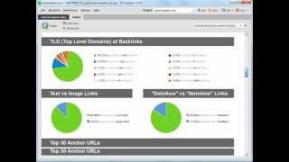 SEO SpyGlass tutorial  Backlink Research [upl. by Alesandrini146]