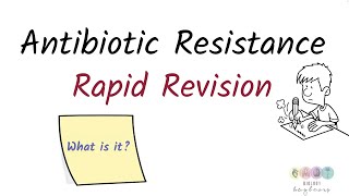 Antibiotic resistance 2024Biology Bugbears Rapid Revision [upl. by Jessica427]