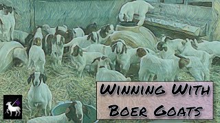 Raising Champion Boer Goats Larry Lorenz Interview [upl. by Ohploda]