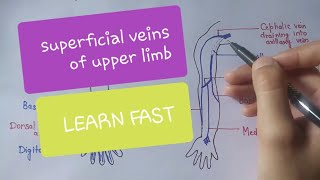 Deviated nasal septum Hindi Patient teaching programme [upl. by Ahsikin921]