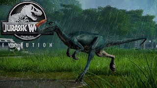 PROCERATOSAURUS ALL EVOLUTION amp PROCERATOSAURUS ALL ANIMATION  Jurassic World The Game [upl. by Hcirdla]