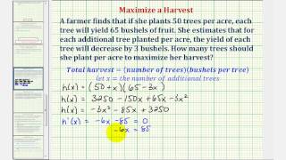 Ex Optimization  Maximized a Crop Yield Calculus Methods [upl. by Kalie]