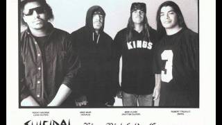 Suicidal Tendencies  Nobody Hears Live [upl. by Shepley717]