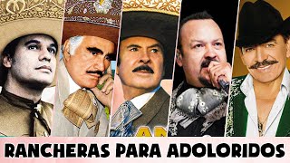 Mix de Vicente Fernandez Antonio Aguilar Joan Sebastian Juan Gabriel Pepe Aguilar  RANCHERAS [upl. by Gerta118]