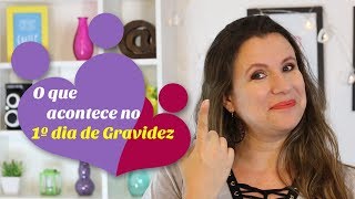 O QUE ACONTECE NO PRIMEIRO DIA DE GRAVIDEZ  Monica Romeiro [upl. by Eimrej907]