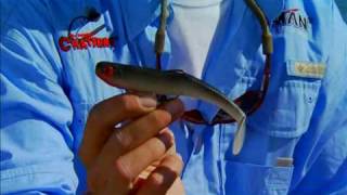 Zman Fishing Swim Bait [upl. by Howlyn]