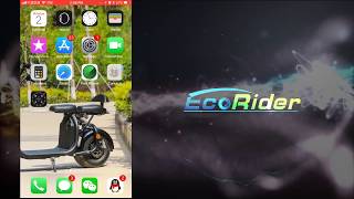 EcoRider Citycoco E510 APP Connection [upl. by Boot]