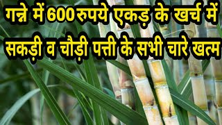 गन्ने के लिए सबसे सस्ता खरपतवार नाशक  ganne ki kheti  ganne me kharpatwaar nashak dawa  herbicide [upl. by Katushka]