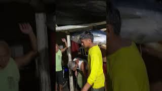 Tuloy lang parati wag kang mawawalan ng pag asa fishing tuna bigtuna yellowfintuna fishingvideo [upl. by Clement515]