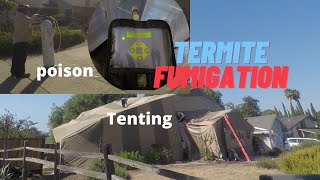 10 Termite FumigationTenting Facts You May Not Know [upl. by Anilyx6]