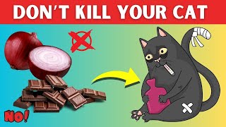 These Foods from your Kitchen Will Kill Your Cat NEVER feed them VYTAL [upl. by Etnomaj682]