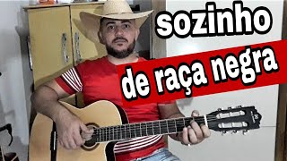 como tocar sozinho de raça negra no violão [upl. by Lenor]